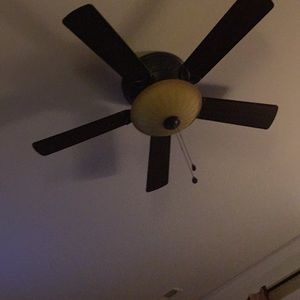 Meet your Posher, Wayne